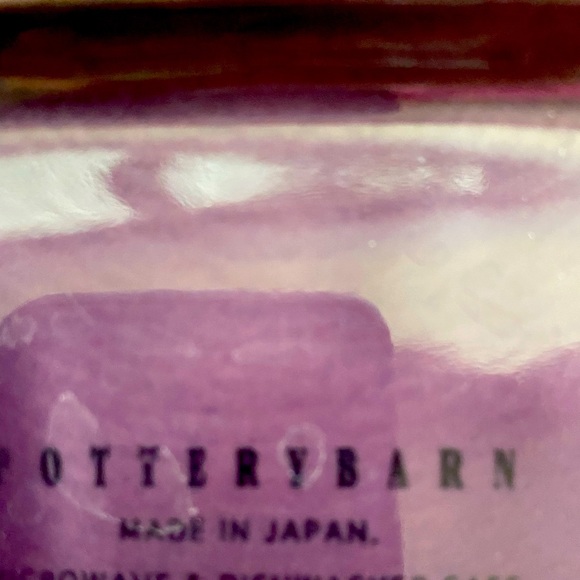 Pottery Barn 4 Person Place Setting Sushi Magenta dish set - Picture 3 of 5